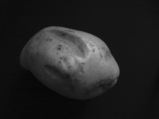 The potato model of the asteroid used in the classroom