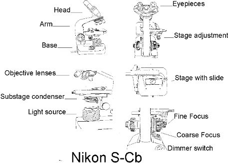 Typical components of a Bright Field Microscope